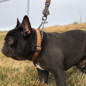 Meet your Posher, Abril